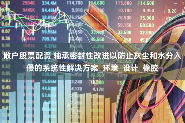 散户股票配资 轴承密封性改进以防止灰尘和水分入侵的系统性解决方案_环境_设计_橡胶