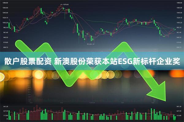 散户股票配资 新澳股份荣获本站ESG新标杆企业奖