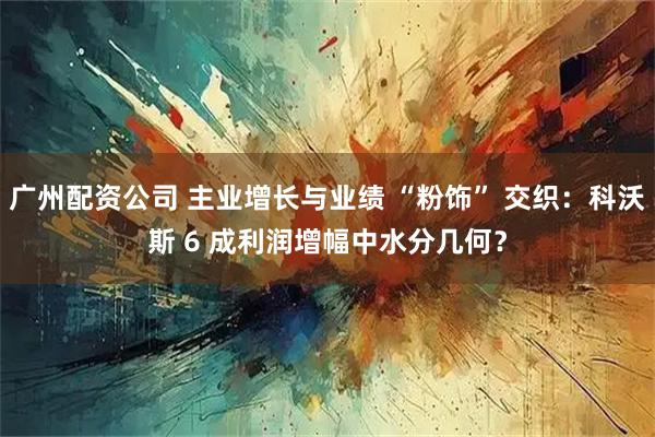 广州配资公司 主业增长与业绩 “粉饰” 交织：科沃斯 6 成利润增幅中水分几何？