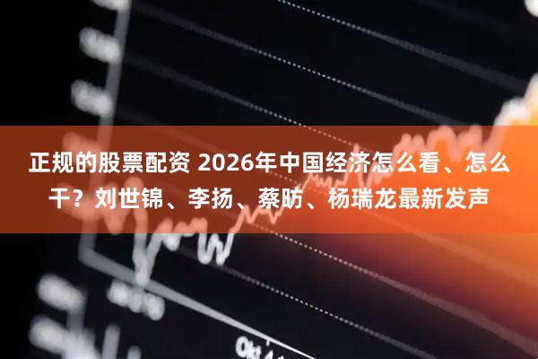 正规的股票配资 2026年中国经济怎么看、怎么干?刘世锦、李扬、蔡昉、杨瑞龙最新发声